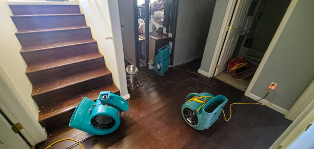 Best Water damage contractors near me  in Gearhart, OR