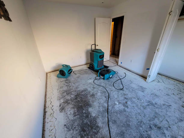 Best Flood restoration services  in Gearhart, OR