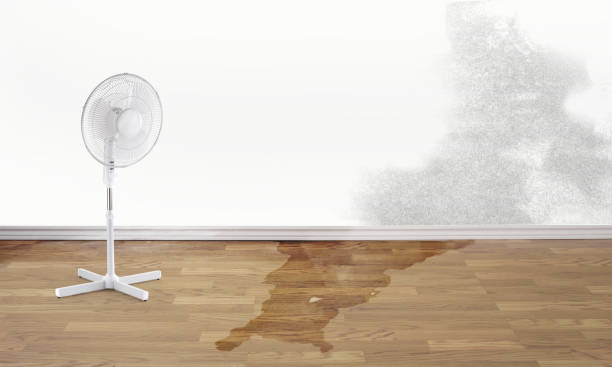 Best Flood damage cleanup  in Gearhart, OR