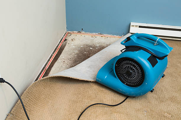 Best Water damage restoration near me  in Gearhart, OR